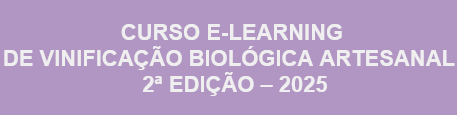 p11051