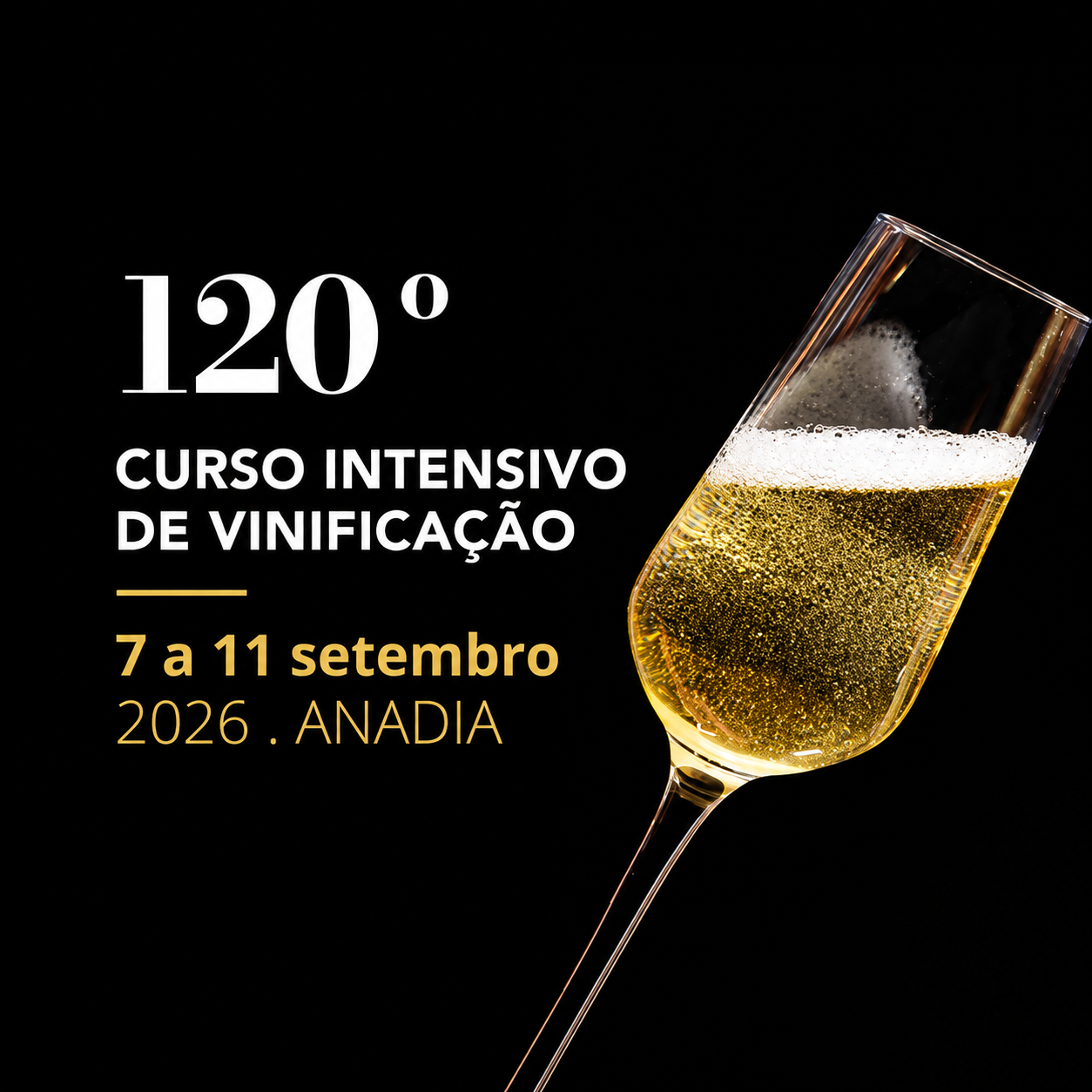 Curso Vinificação_Anadia